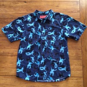 🌸3 for $20🌸 Skateboarder collared button up shirt boys XL 14/16 Moss issue